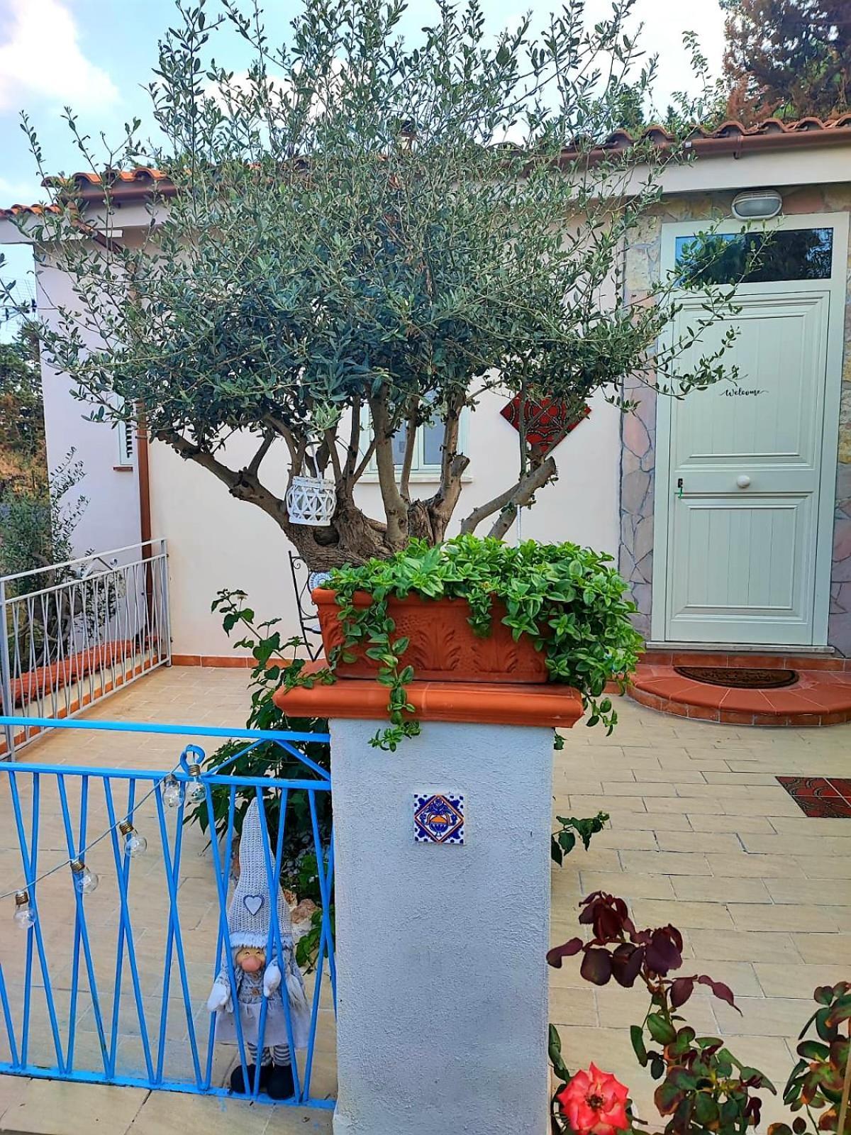 La Casetta Degli Ulivi Palermo Bagian luar foto